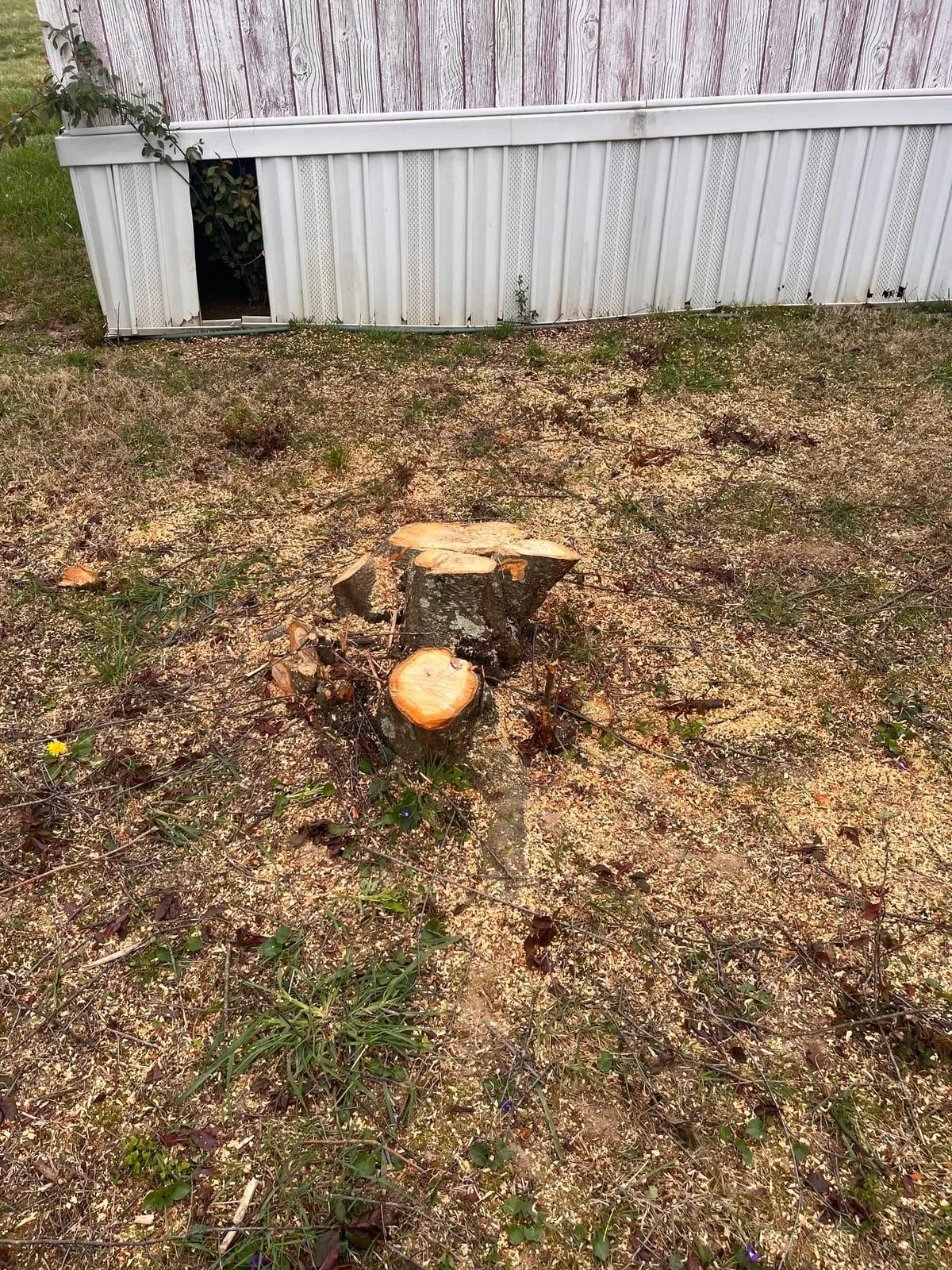 Cleared lot after brush and tree removal in East Tennessee