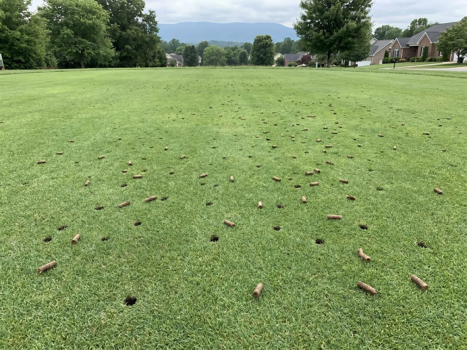 Core aerator on a freshly aerated and overseeded East Tennessee lawn