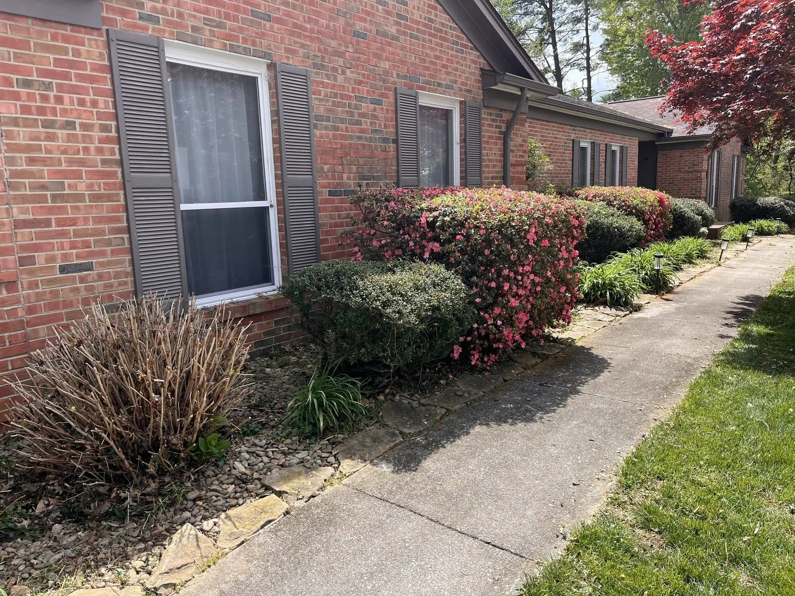 Front yard cleaned up after a property cleanup