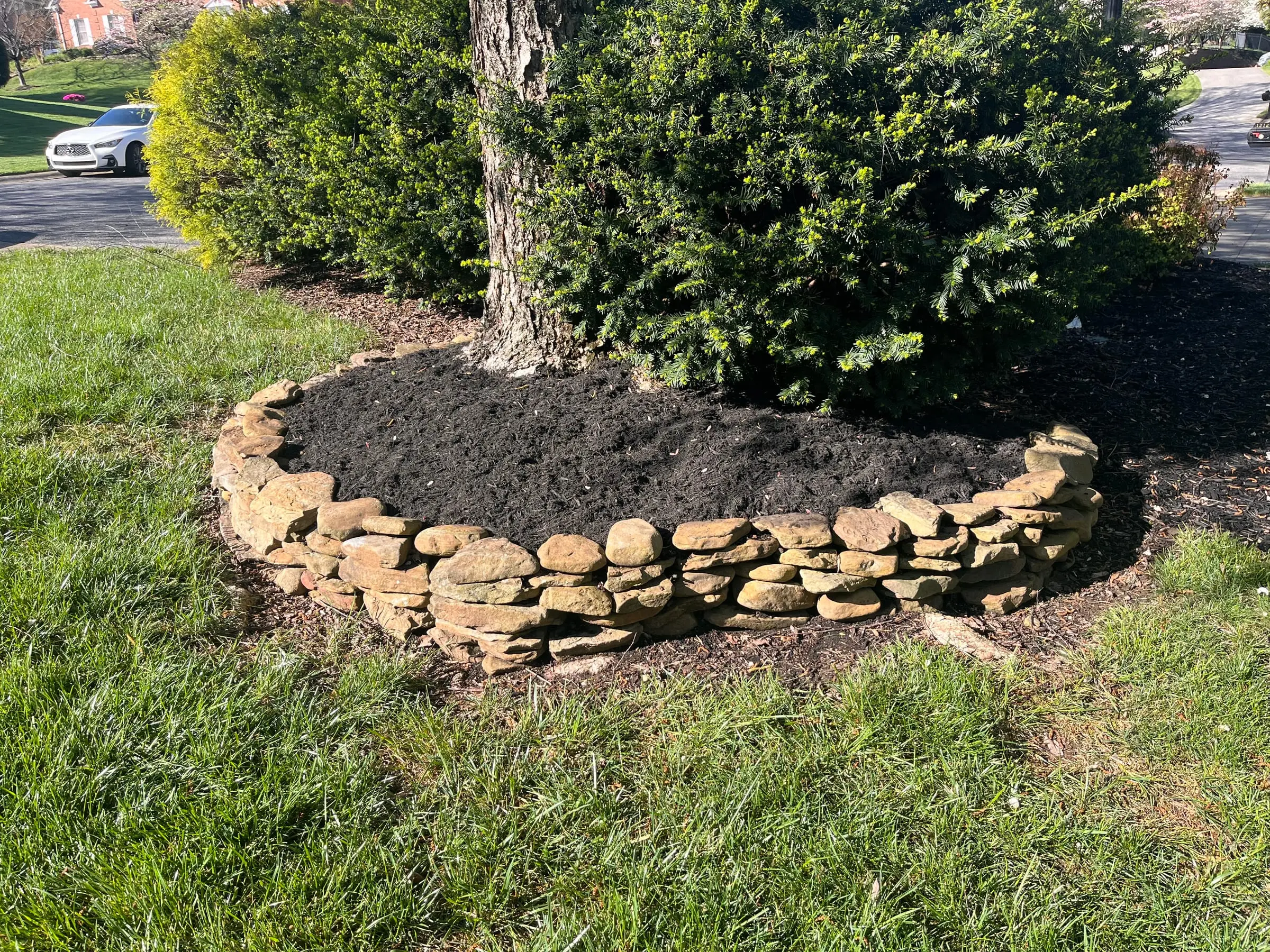 Dry-stack stone ring bed with fresh dark mulch around a tree