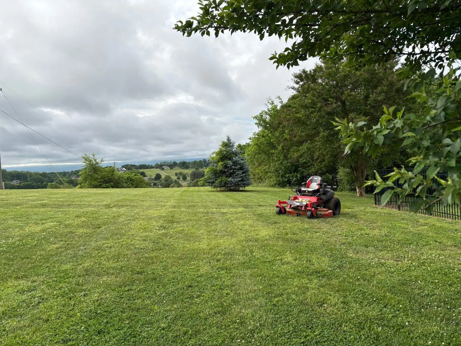 Lawngevity zero-turn mowing a clean Blount County lawn