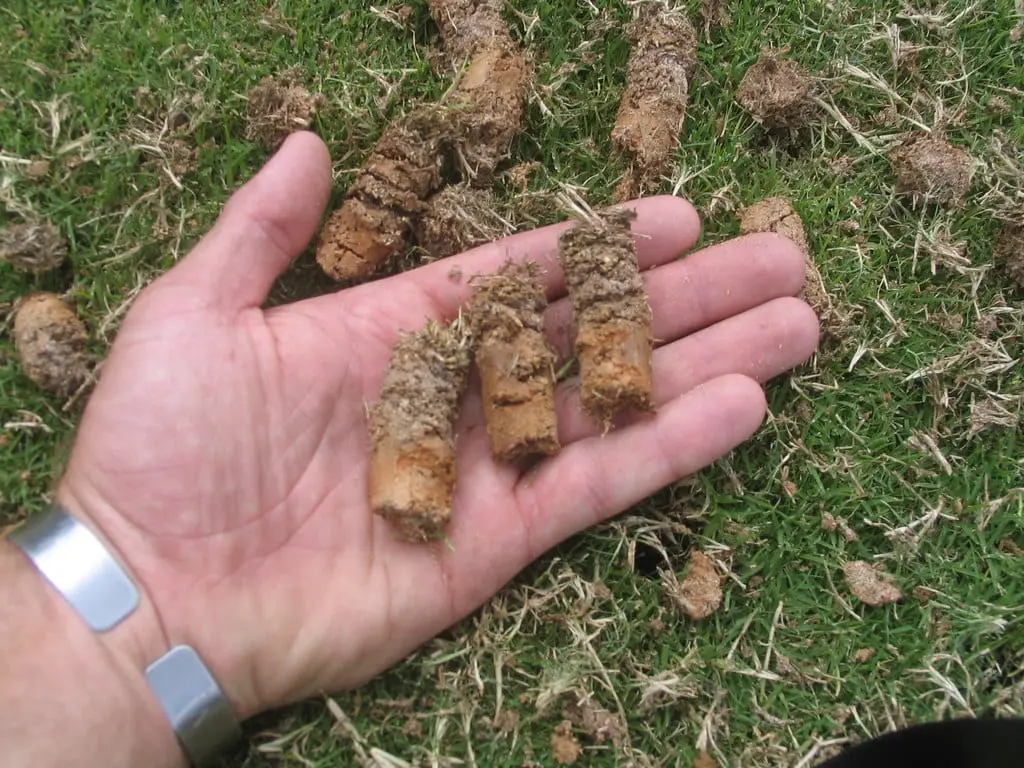 Aeration and Overseeding: The Secret to Turning a Good Lawn into a Great Lawn