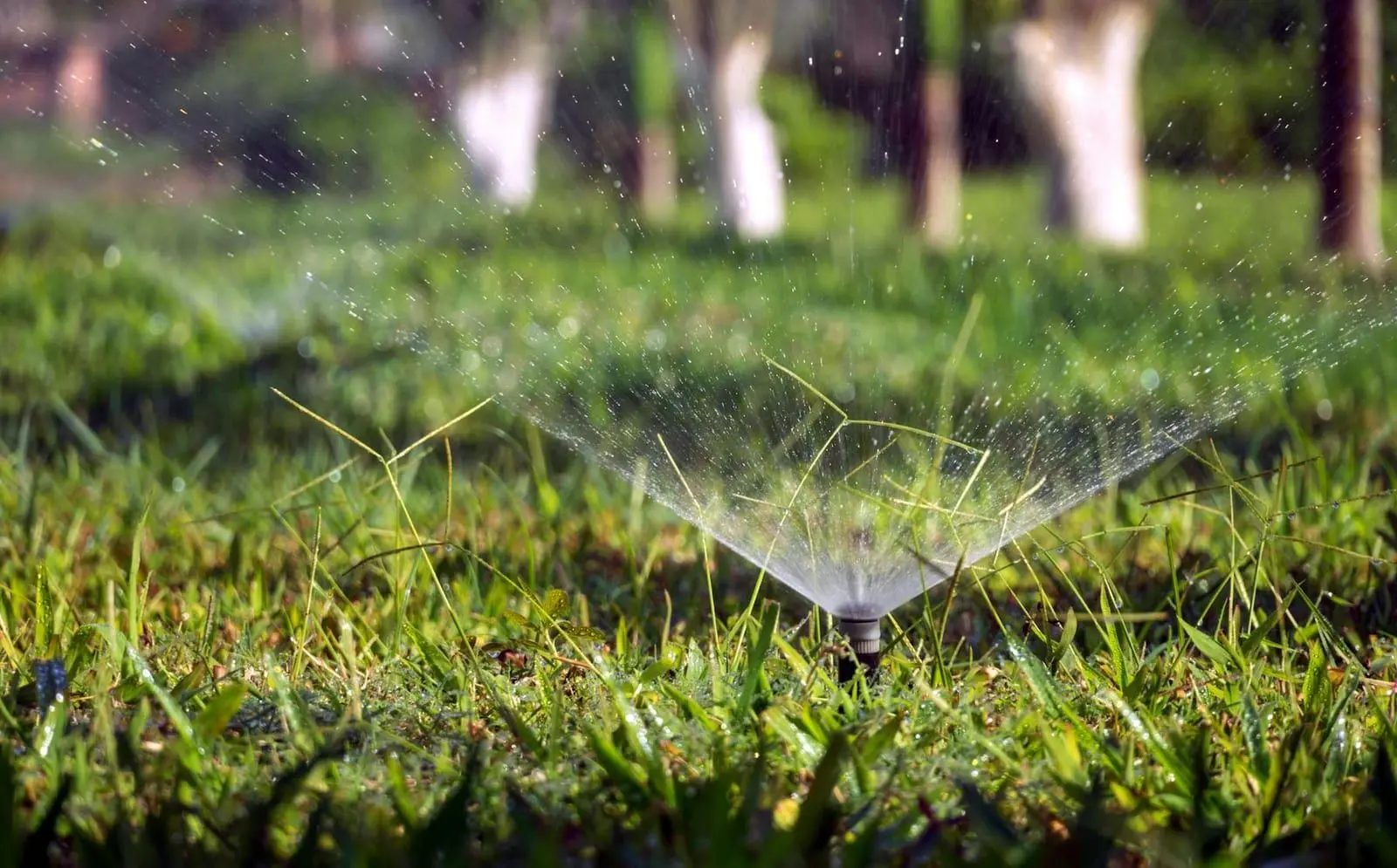 Is an Irrigation System Worth the Investment for East Tennessee Homeowners?