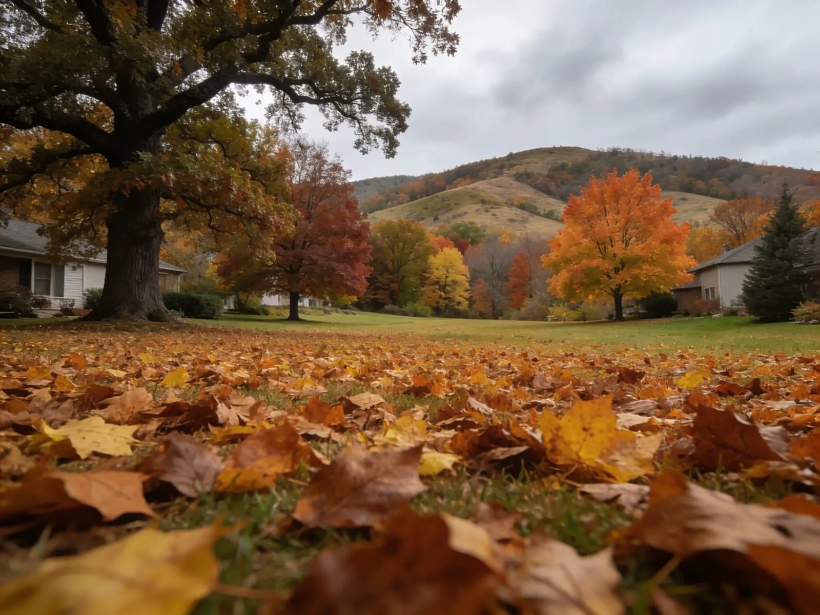 Fallen autumn leaves cleared from a lawn in East Tennessee