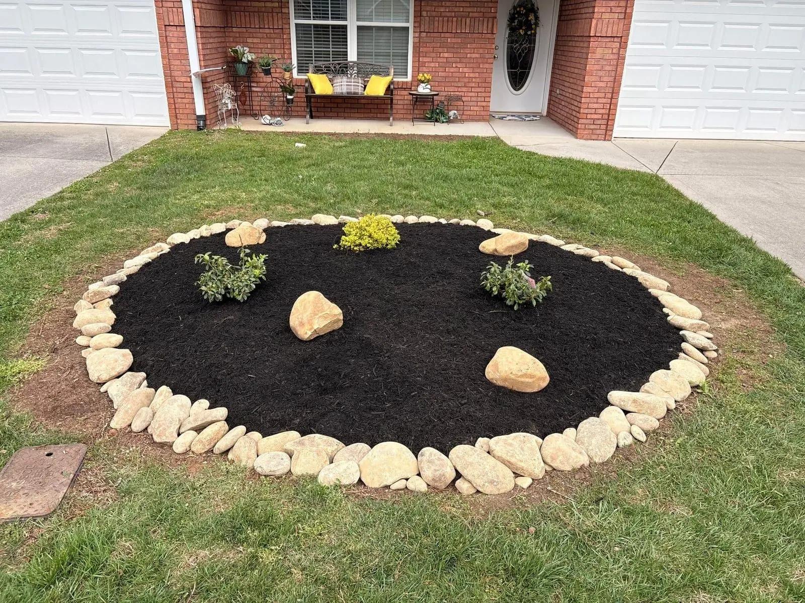 Fresh mulch ring around a mature tree
