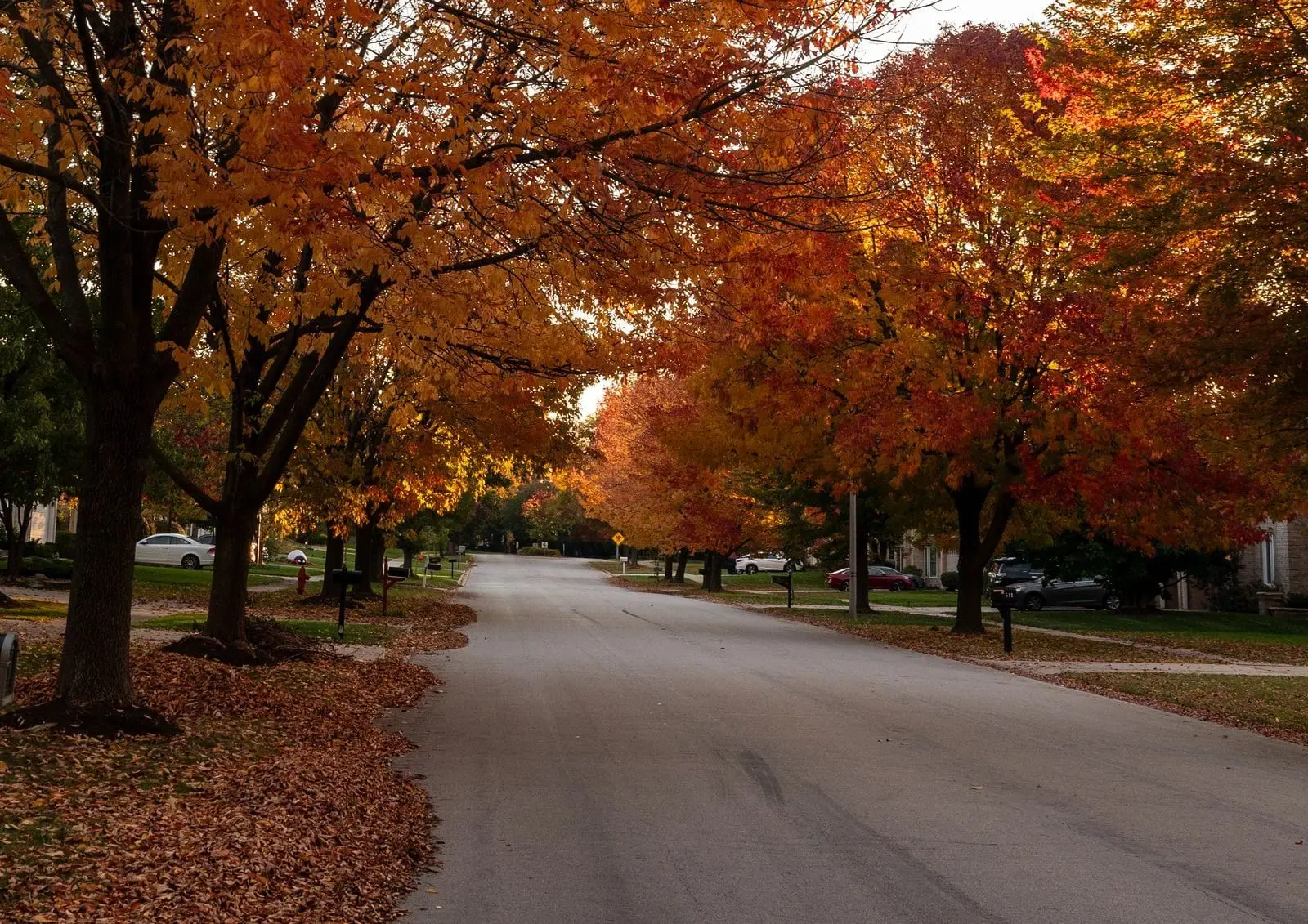 Leaf Pickup Rules in Blount County: What Maryville, Alcoa, and County Homeowners Need to Know