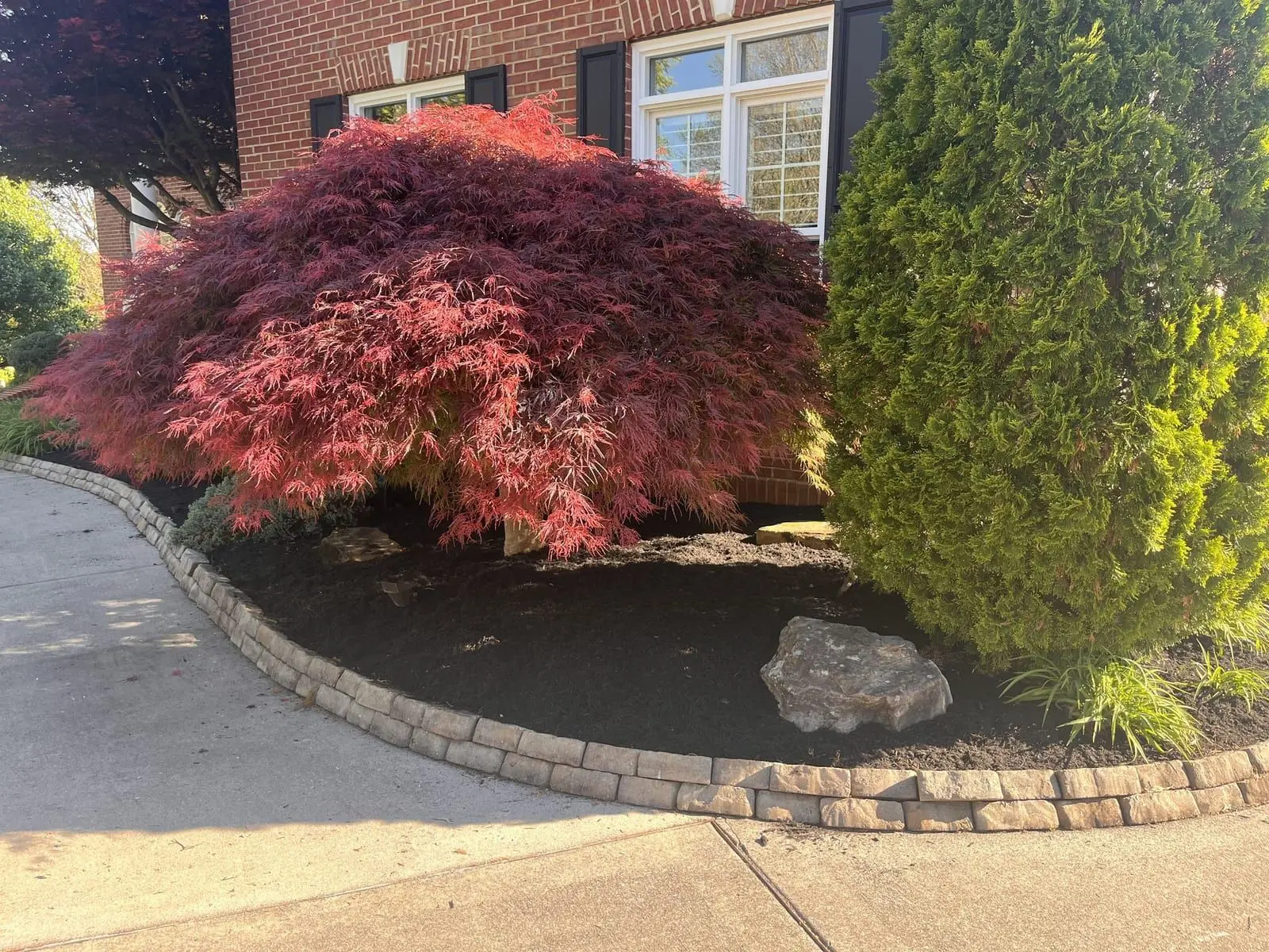 Japanese maple over a stacked-stone planting bed